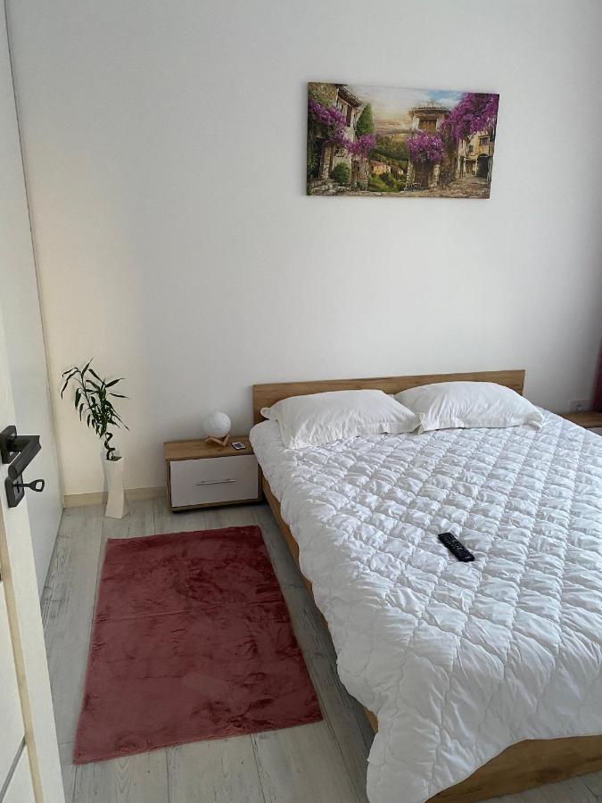 Good Vibes Apartment Oradea Extérieur photo